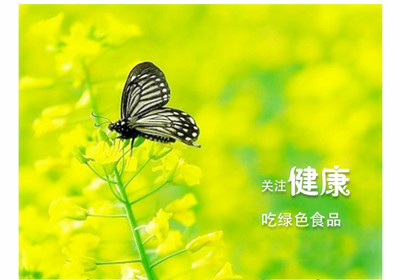 菜籽油出油率由榨油機決定的嗎(圖1) 菜籽油出油率由榨油機決定的嗎(圖1)