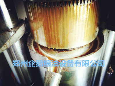 榨油機最容易出現(xiàn)哪些問題(圖1) 榨油機最容易出現(xiàn)哪些問題(圖1)
