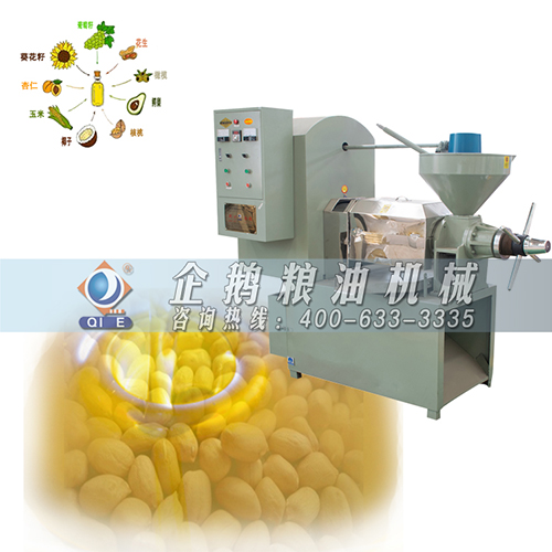 油茶榨油機(jī)